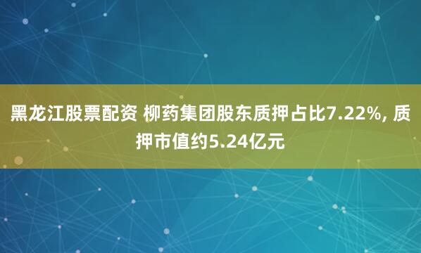 黑龙江股票配资 柳药集团股东质押占比7.22%, 质押市值约5.24亿元